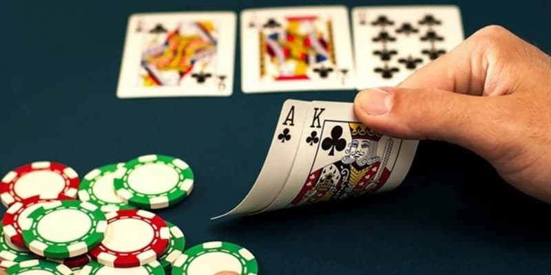 Cách chơi bài cao rùa cho người mới bắt đầu