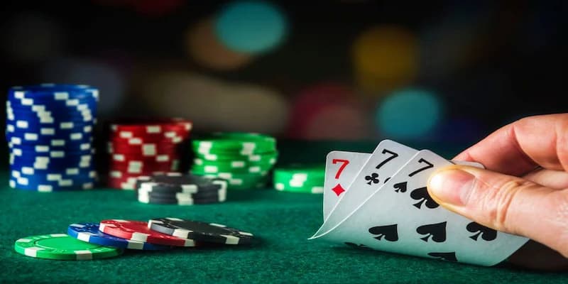 Cách tính điểm trong bài cao rùa