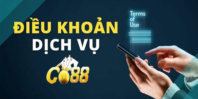 Chính sách bảo mật và quyền riêng tư trong điều khoản sử dụng