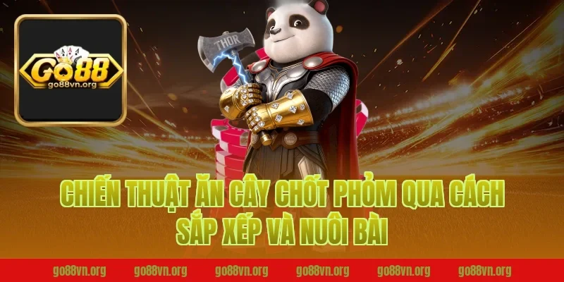 Chiến thuật ăn cây chốt phỏm qua cách sắp xếp và nuôi bài