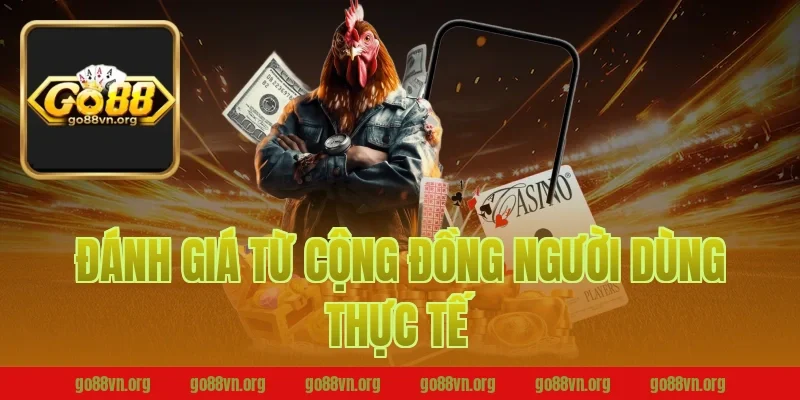 Đánh Giá Từ Cộng Đồng Người Dùng Thực Tế