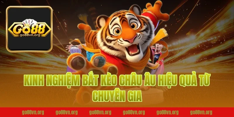 Kinh Nghiệm Bắt Kèo Châu Âu Hiệu Quả Từ Chuyên Gia